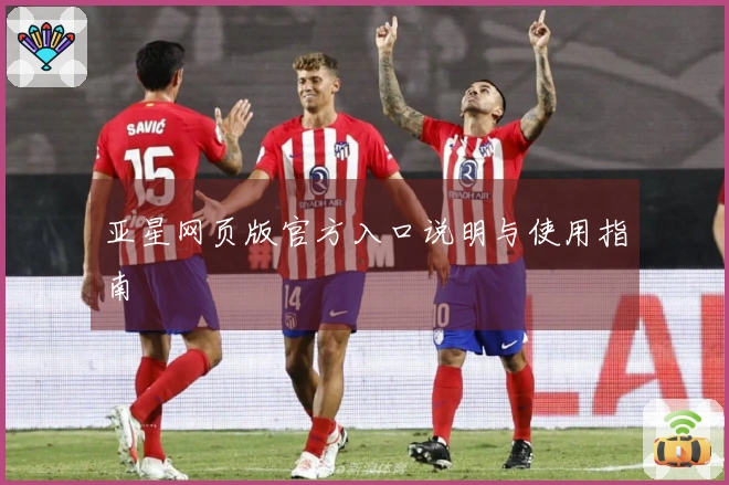 亚星网页版官方入口说明与使用指南