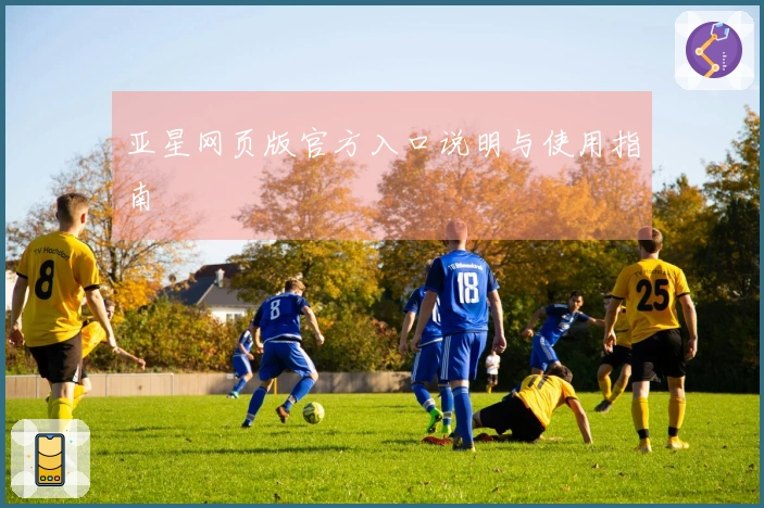 亚星网页版官方入口说明与使用指南